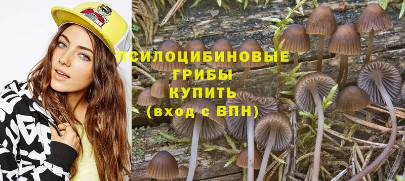 Псилоцибиновые грибы GOLDEN TEACHER  купить закладку  Казань 